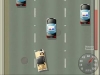高速路上的非主流